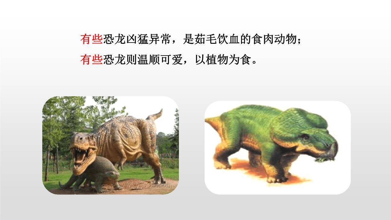 飞向蓝天的恐龙PPT课件52