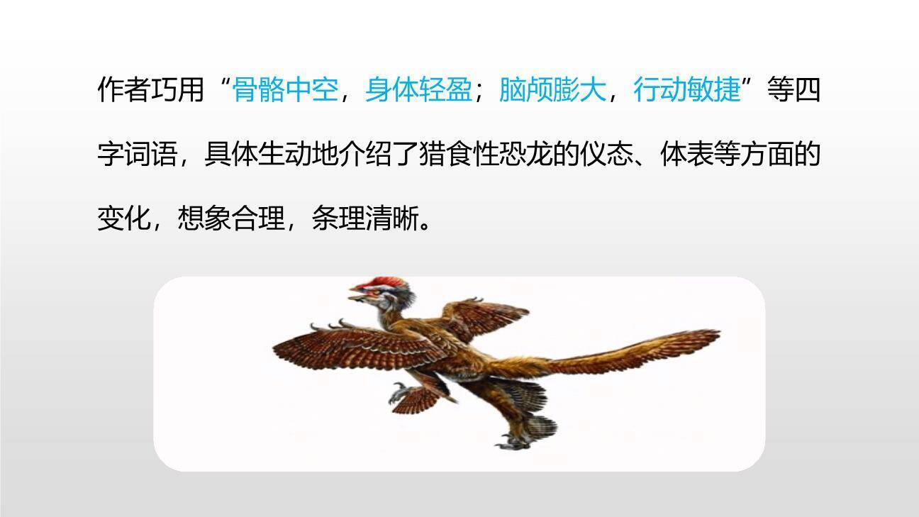 飞向蓝天的恐龙PPT课件54