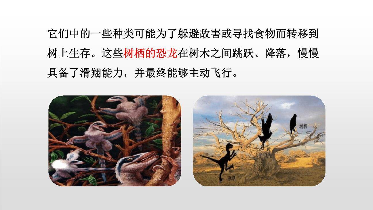 飞向蓝天的恐龙PPT课件55