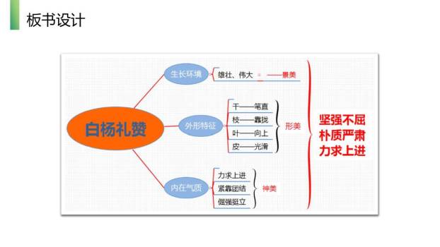 白杨礼赞PPT课件59