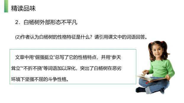 白杨礼赞PPT课件55