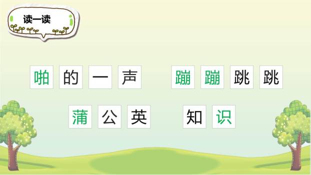 植物妈妈有办法PPT课件62