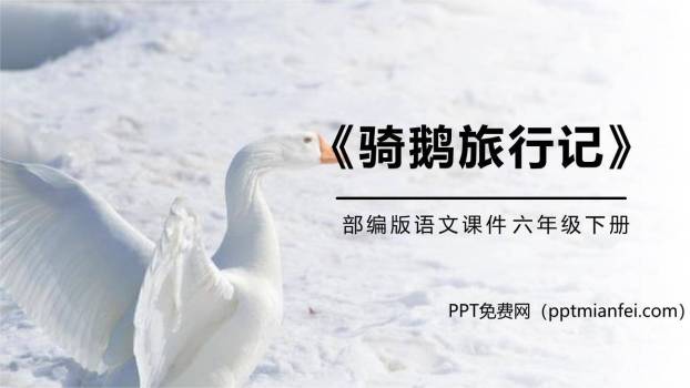骑鹅旅行记PPT课件50
