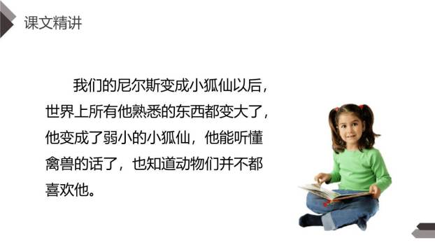 骑鹅旅行记PPT课件54