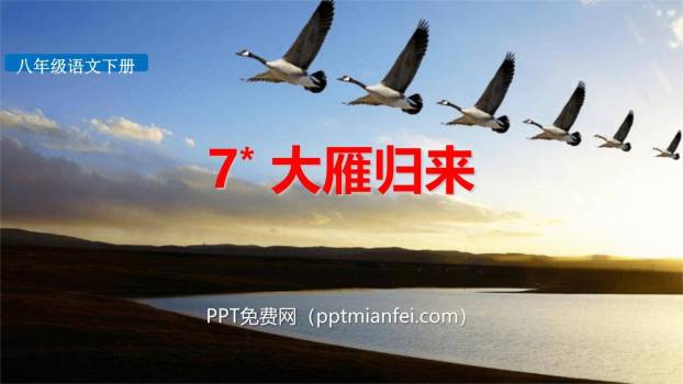 大雁归来PPT课件50
