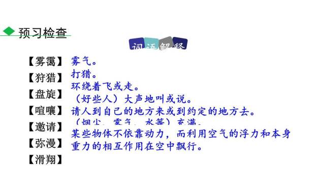 大雁归来PPT课件51