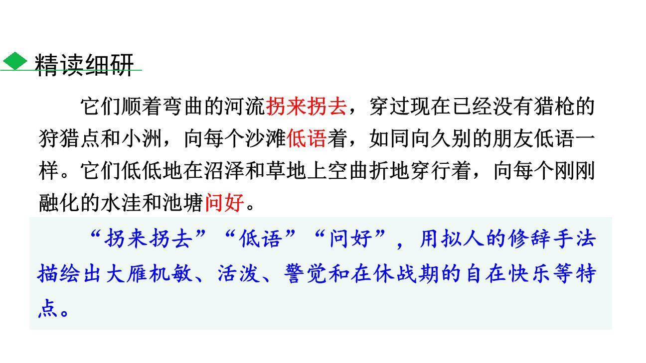 大雁归来PPT课件56