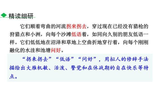 大雁归来PPT课件56