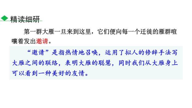 大雁归来PPT课件57