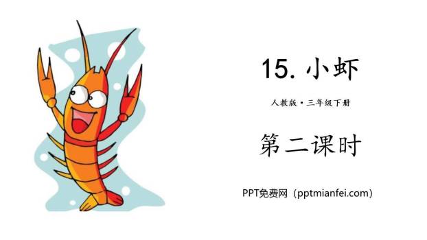 小虾PPT课件20