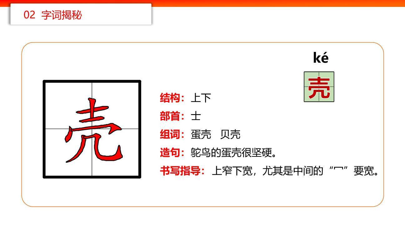 贝的故事PPT课件21