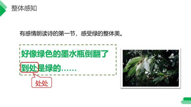 绿PPT课件25