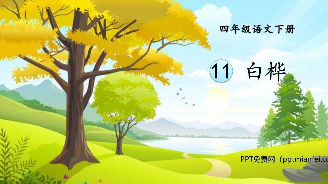 白桦PPT课件40