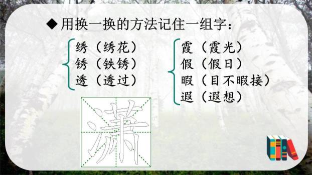 白桦PPT课件43