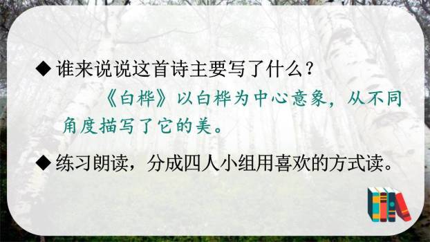 白桦PPT课件46