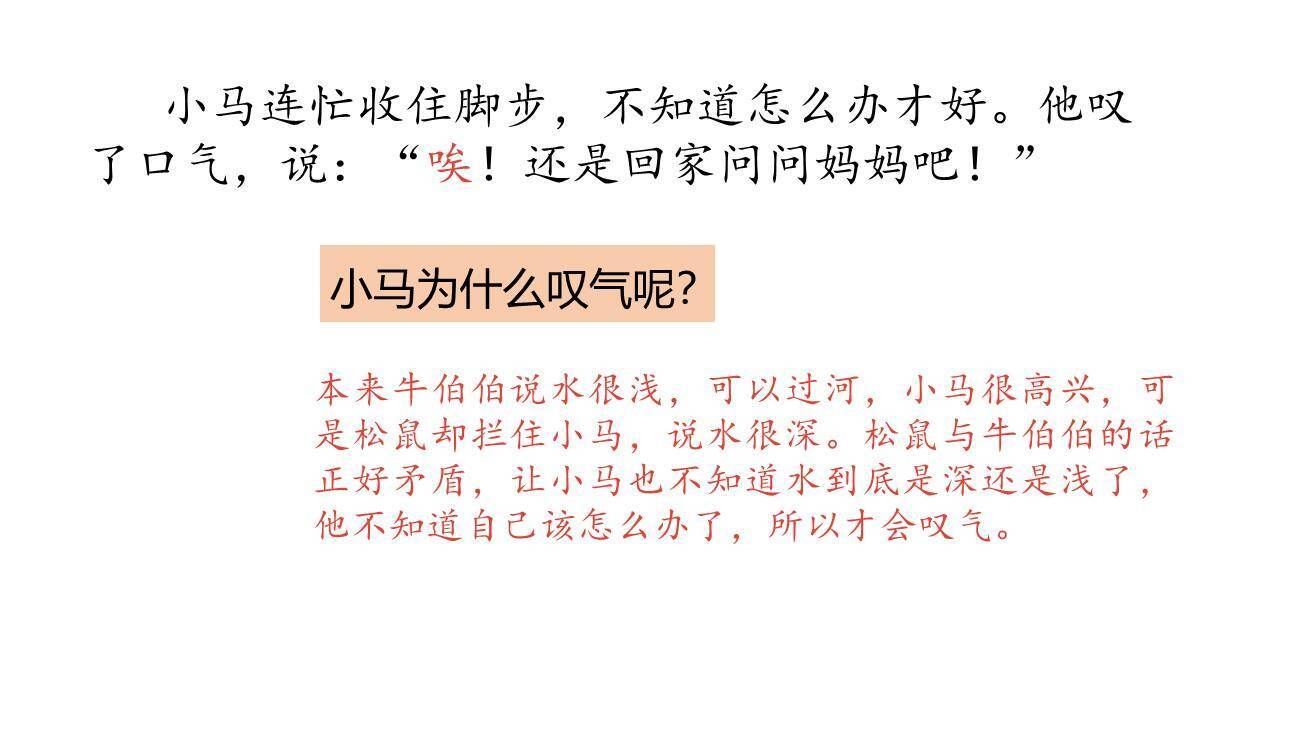 小马过河PPT课件54