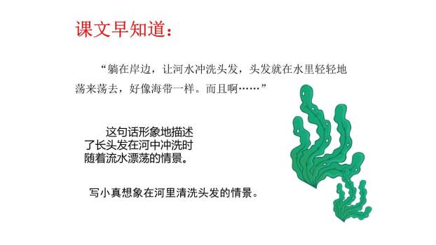 小真的长头发PPT课件67