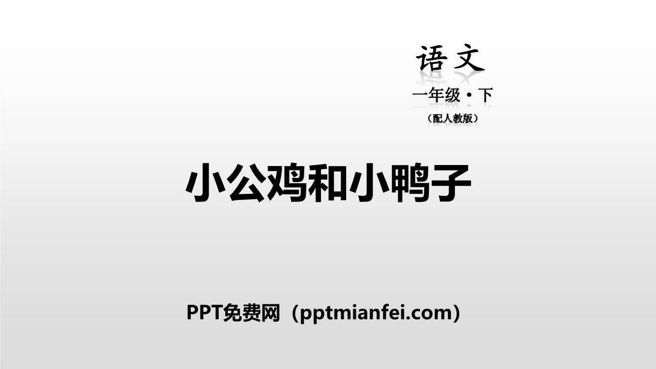小公鸡和小鸭子PPT课件40