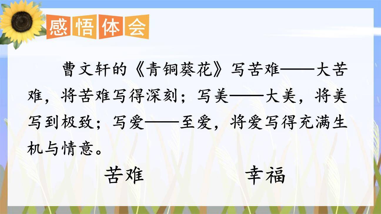 芦花鞋PPT课件49