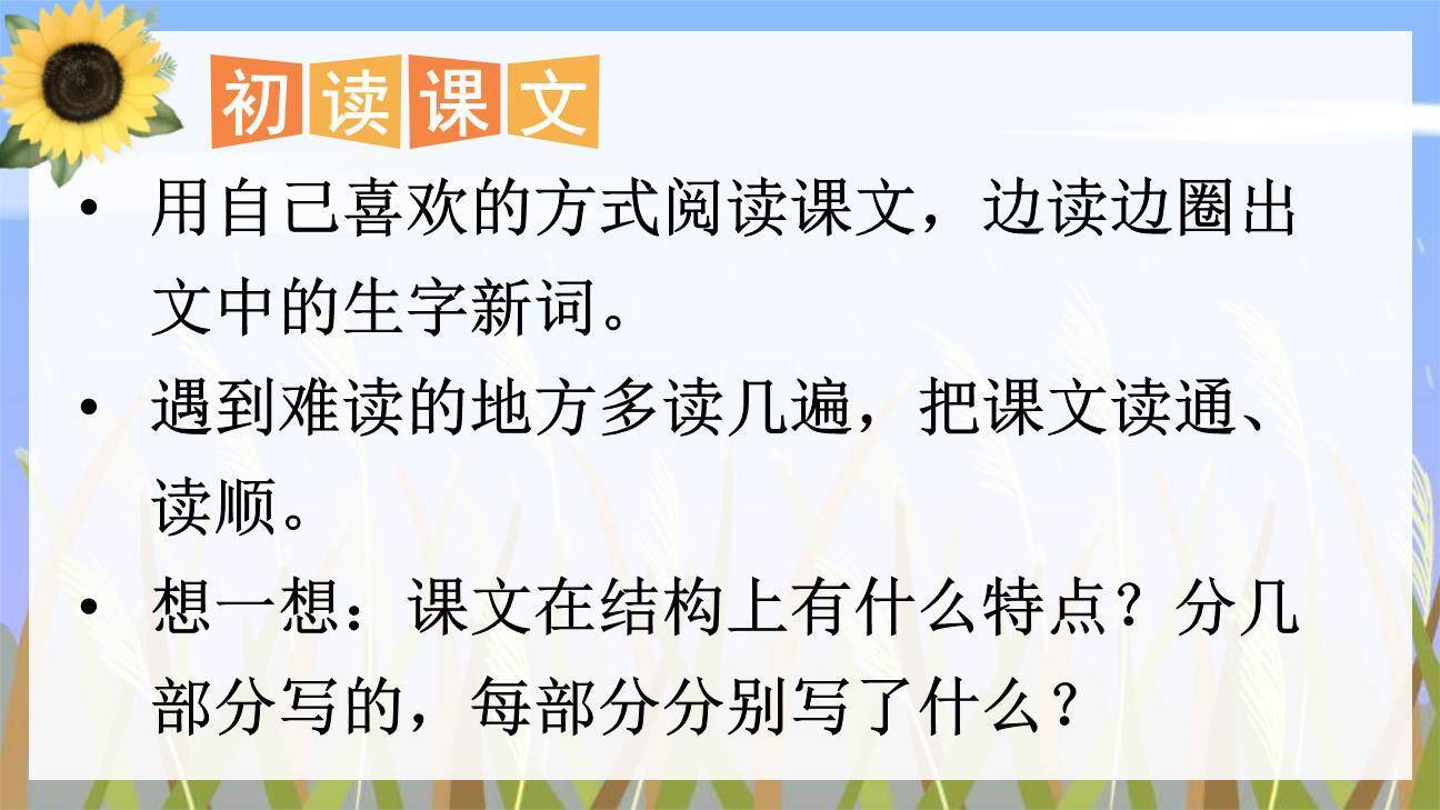 芦花鞋PPT课件42