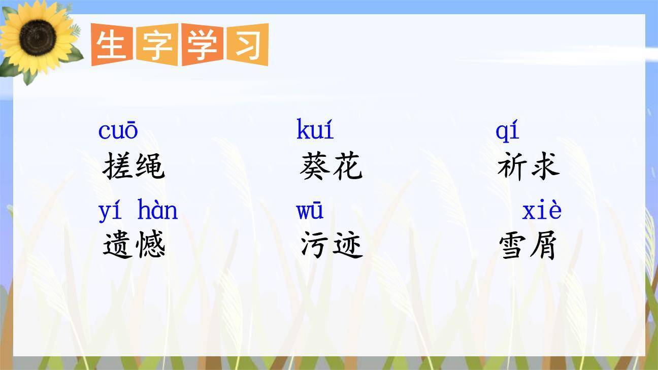 芦花鞋PPT课件43