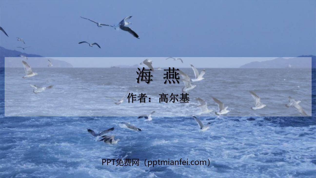 海燕PPT课件70