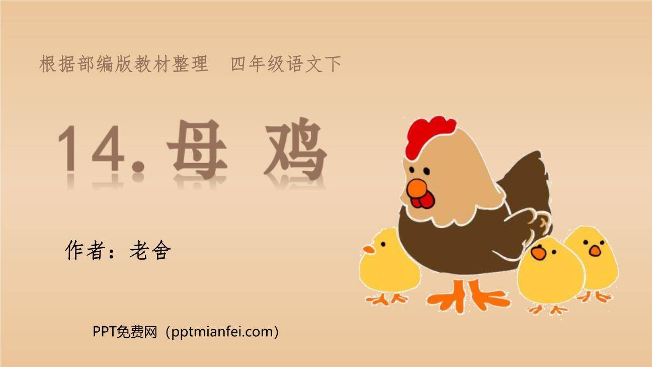 母鸡PPT课件50