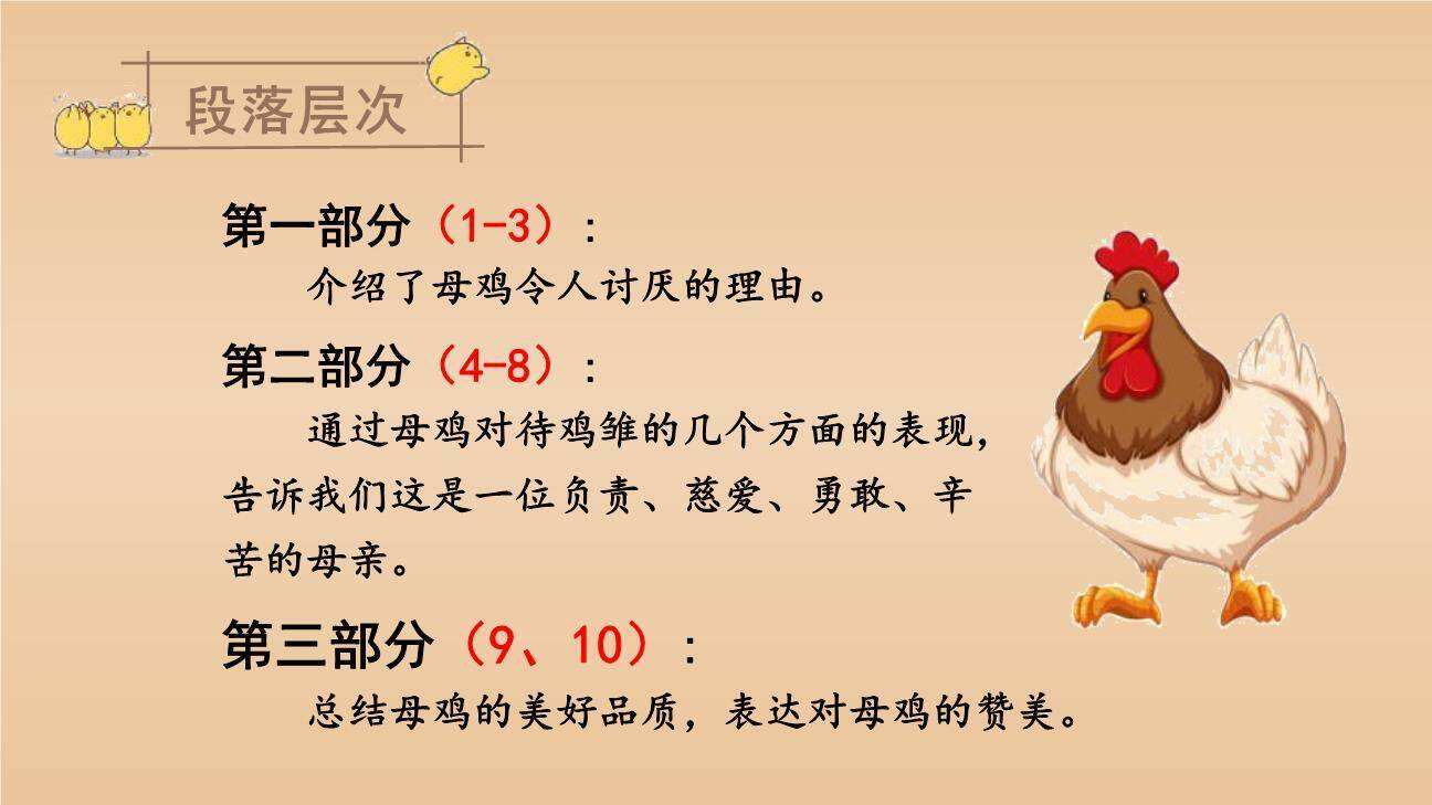 母鸡PPT课件52
