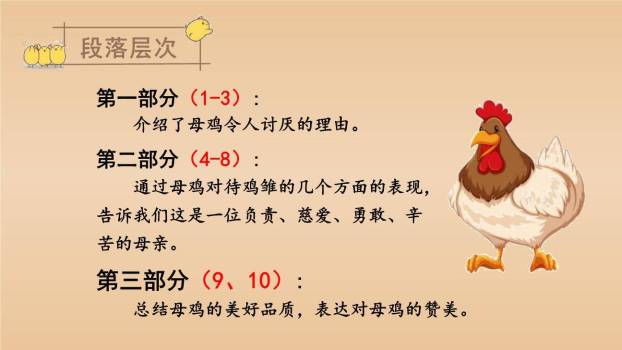 母鸡PPT课件52