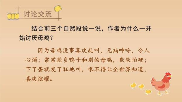 母鸡PPT课件56