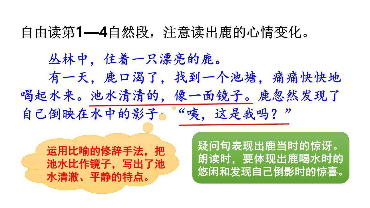 美丽的鹿角PPT课件58