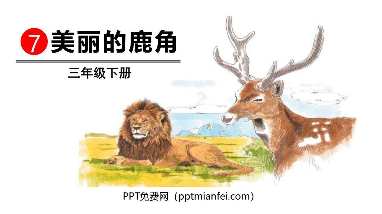 美丽的鹿角PPT课件50