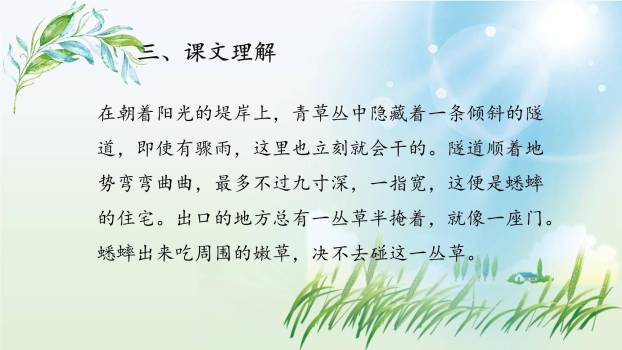 蟋蟀的住宅PPT课件38