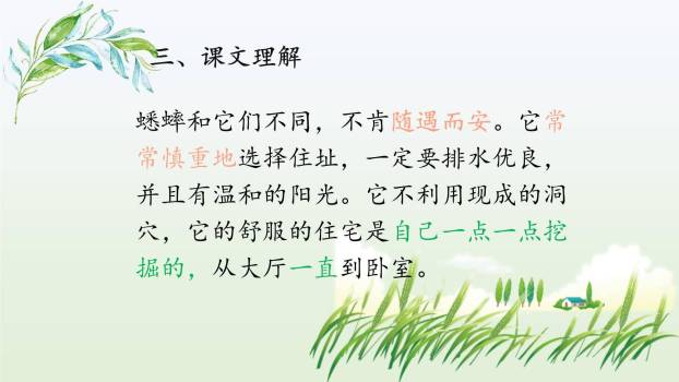 蟋蟀的住宅PPT课件37