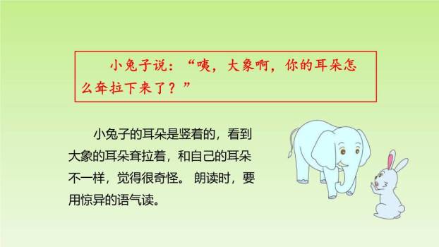 大象的耳朵PPT课件88