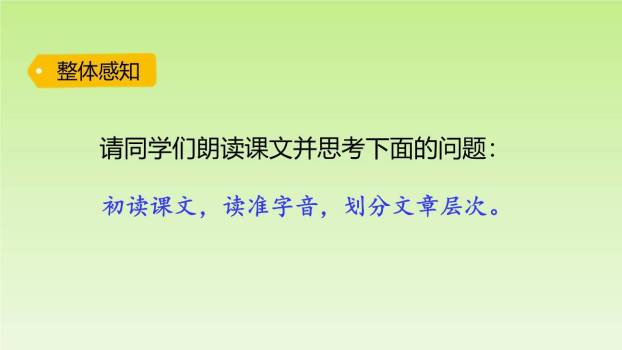 大象的耳朵PPT课件84