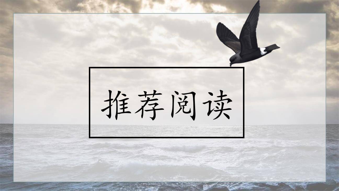 海燕PPT课件89