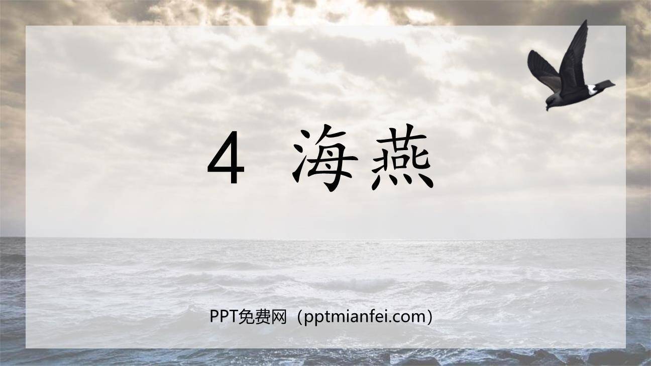 海燕PPT课件80