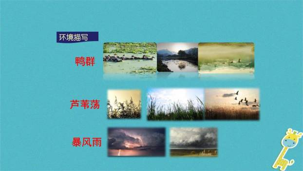 孤独之旅PPT课件14