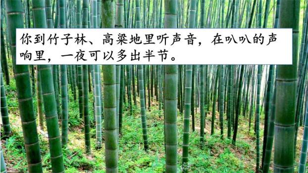 夏天里的成长PPT课件39