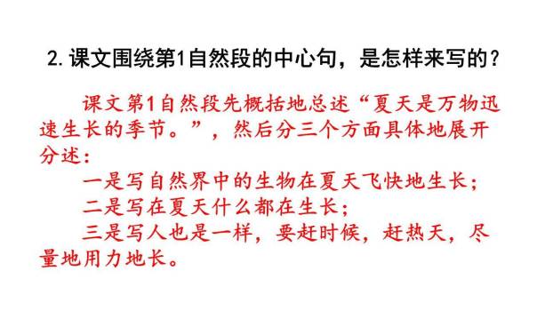 夏天里的成长PPT课件33