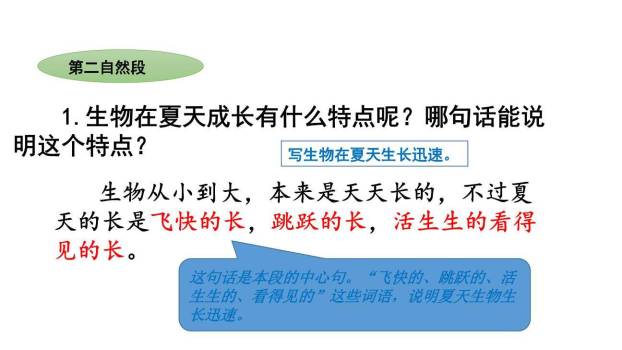 夏天里的成长PPT课件36