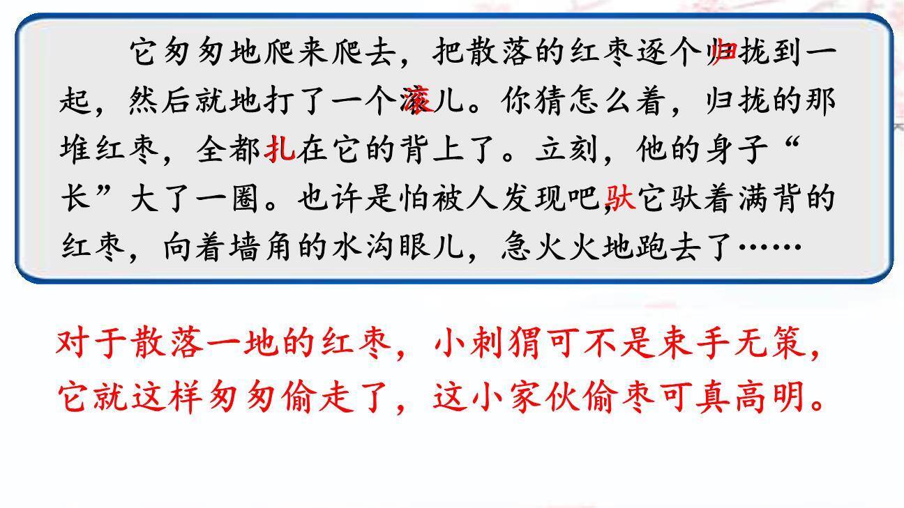 带刺的朋友PPT课件48