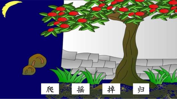 带刺的朋友PPT课件49