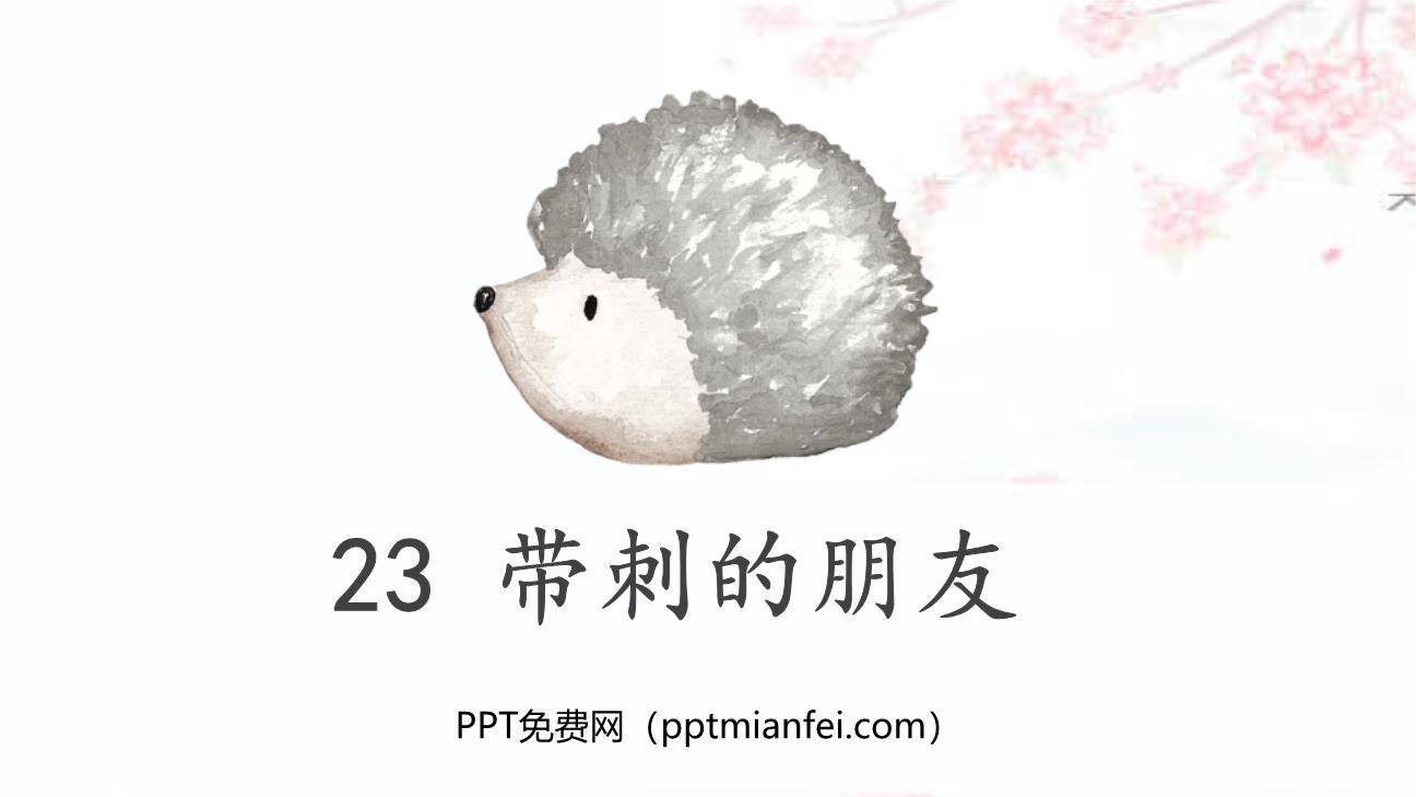 带刺的朋友PPT课件40