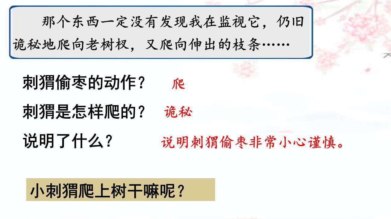 带刺的朋友PPT课件42