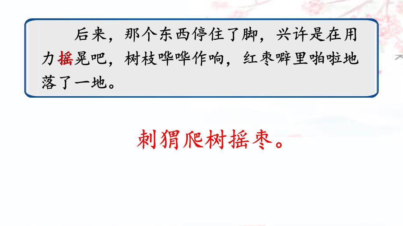 带刺的朋友PPT课件44