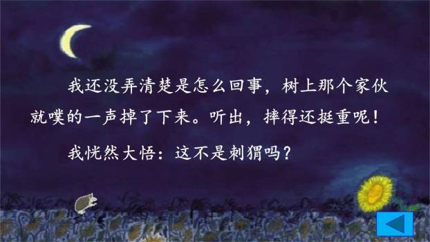 带刺的朋友PPT课件45