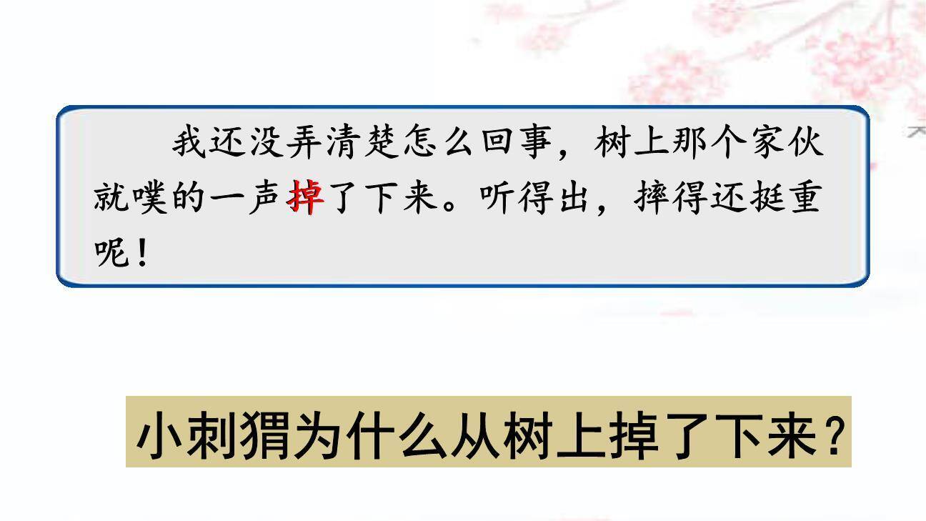 带刺的朋友PPT课件46