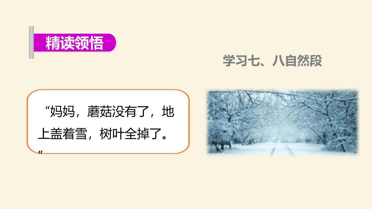 小蜗牛PPT课件29